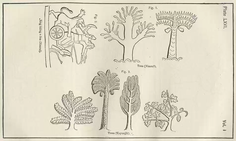 plate066